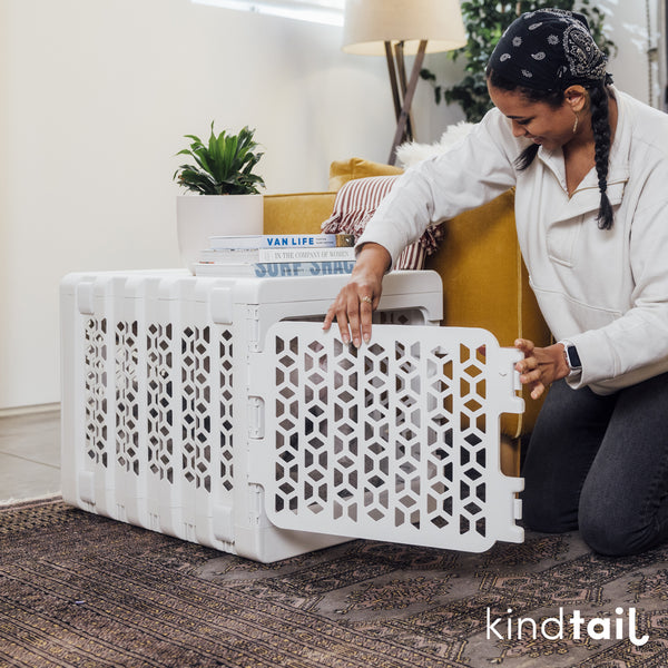 KindTail PAWD Collapsible Crate