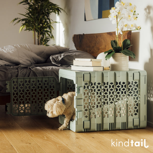 KindTail PAWD Collapsible Crate