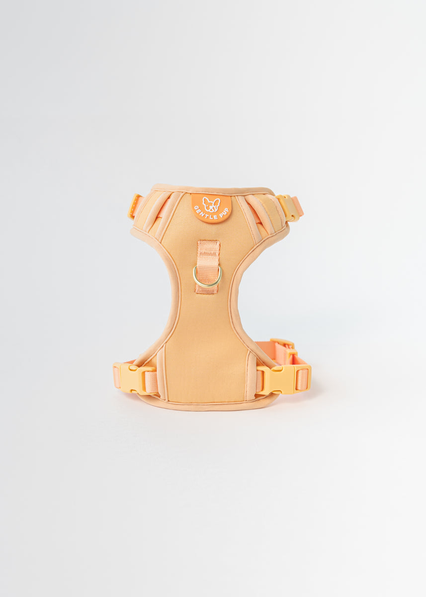 Gentle Pup Easy Harness V2 Tangerine Gentle Pet Store