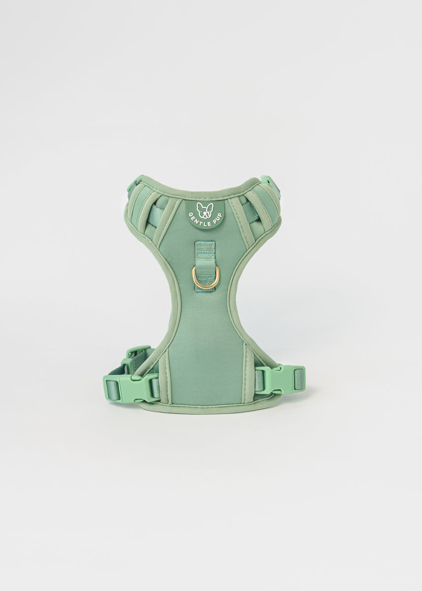 Gentle Pup Easy Harness V2 Emerald Gentle Pet Store