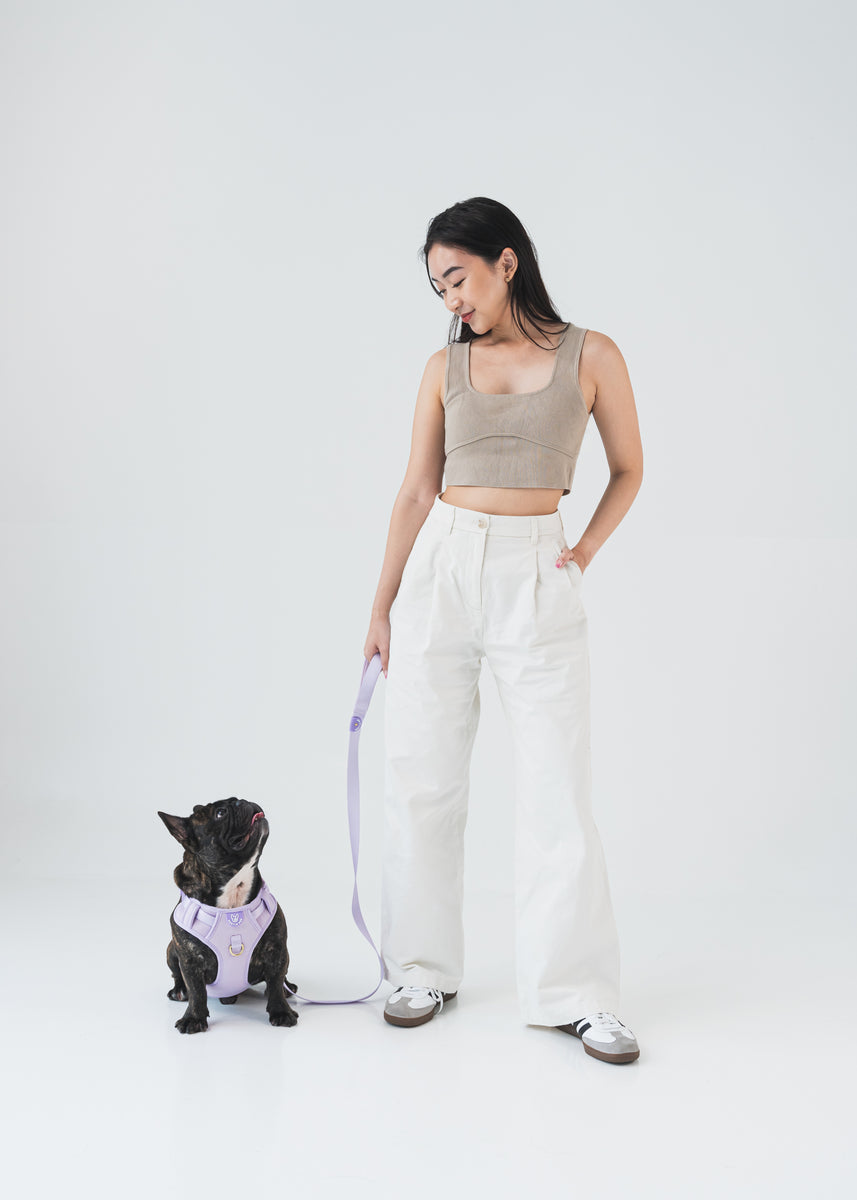 Gentle Pup Leash V2 Periwinkle Gentle Pet Store