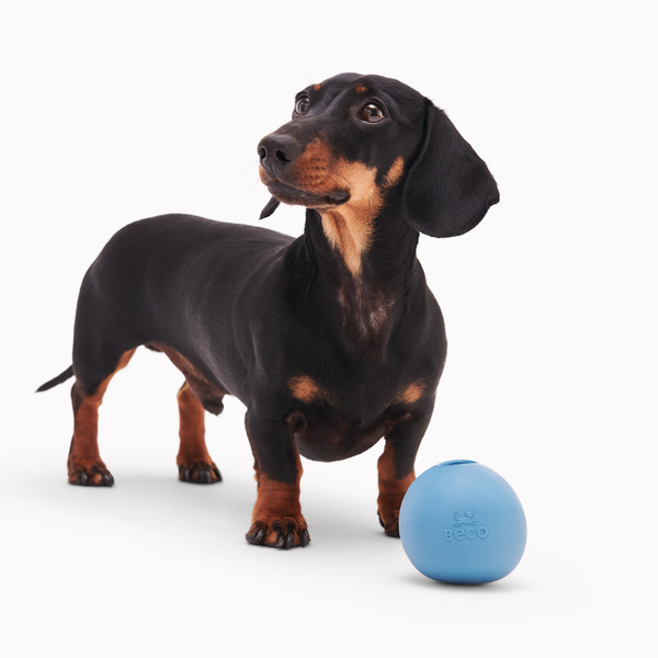 Beco Natural Rubber Wobble Ball with Treat Hole