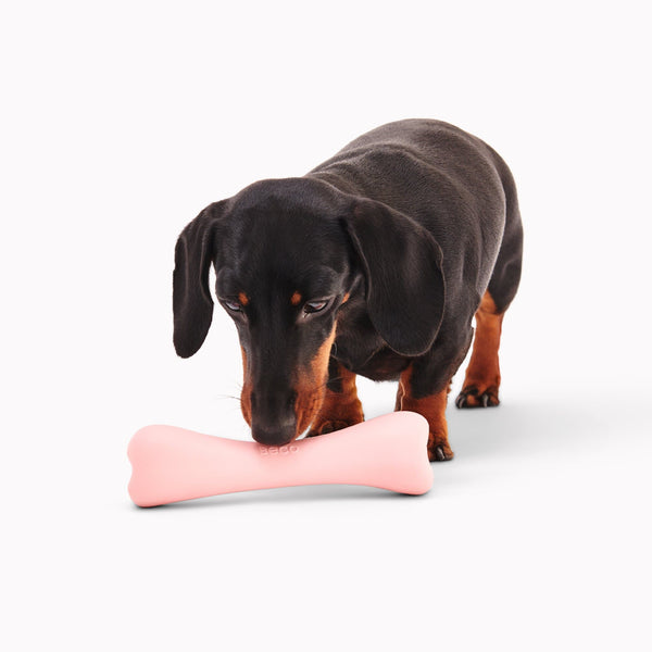 Beco Natural Rubber Chew Bone with Treat Hole