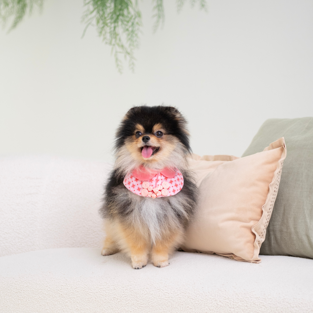 Ohpopdog Ruby Cape Gentle Pet Store