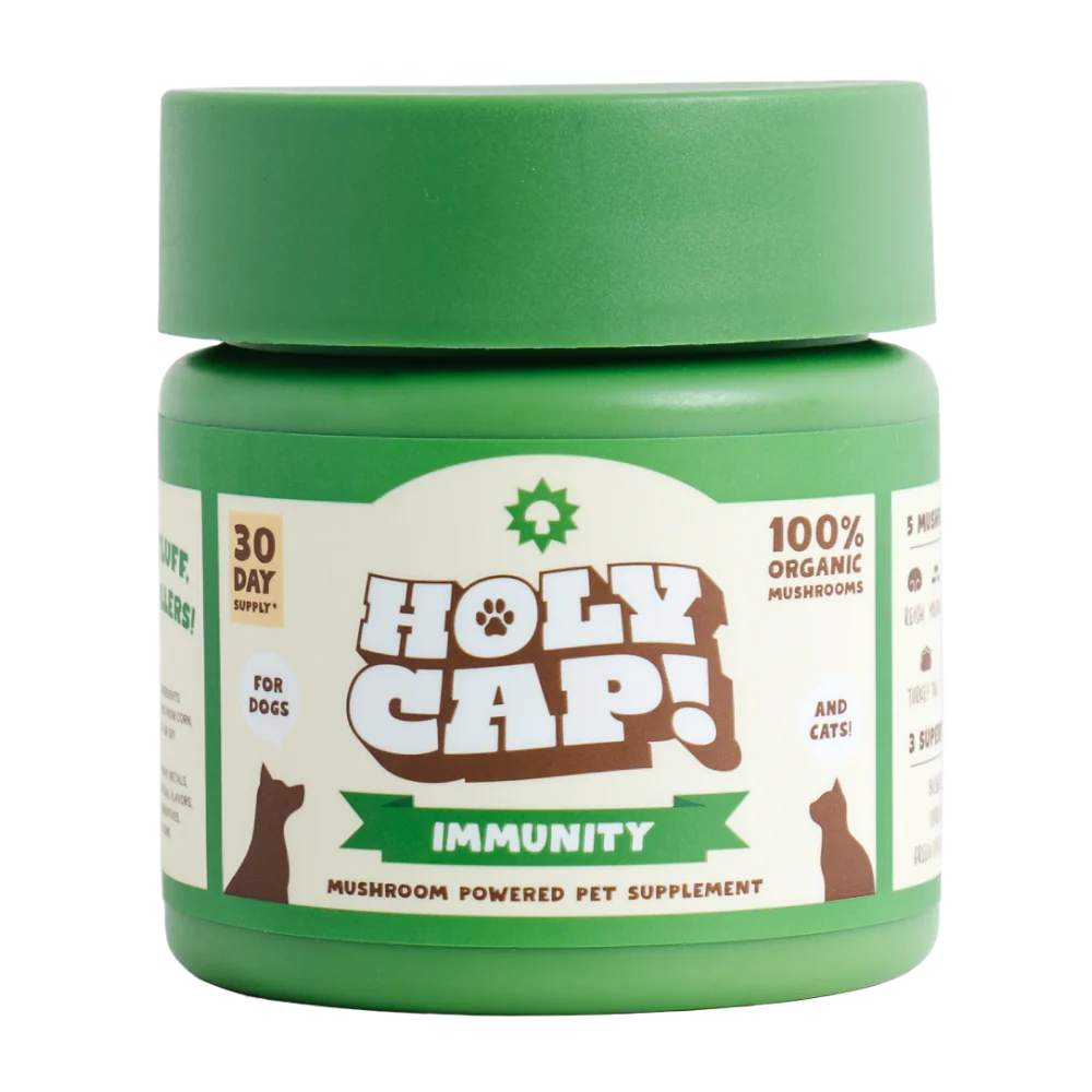 HOLY CAP Mushroom Powered Supplement - Immunity