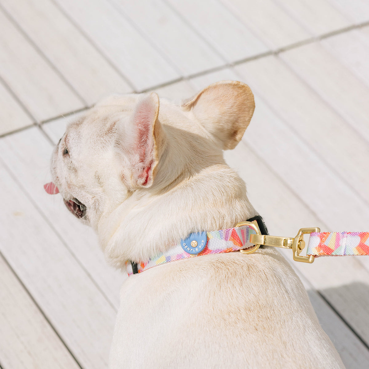 Gentle Pup Dog Collar After the Rain Gentle Pet Store