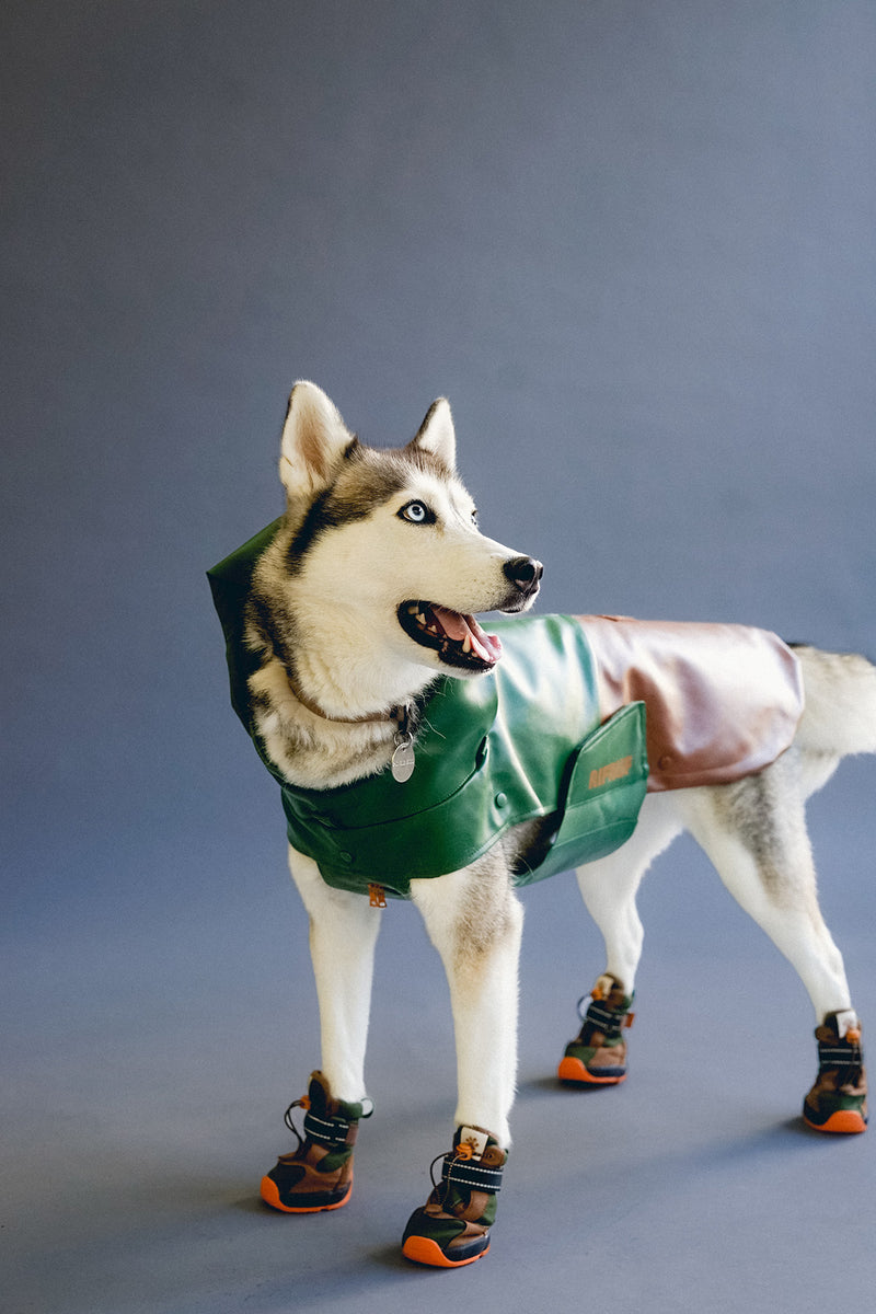 RIFRUF Waterproof Dog Shoes Apollo 1 Beef & Broccoli Gentle Pet Store