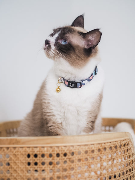 Gentle Purr Cat Collar - Ollie Oliver