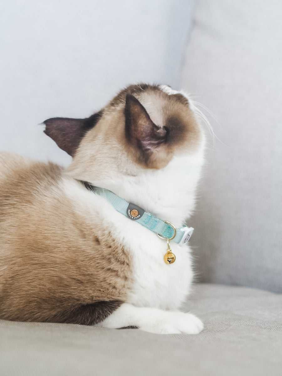 Gentle Purr Cat Collar Pistachio