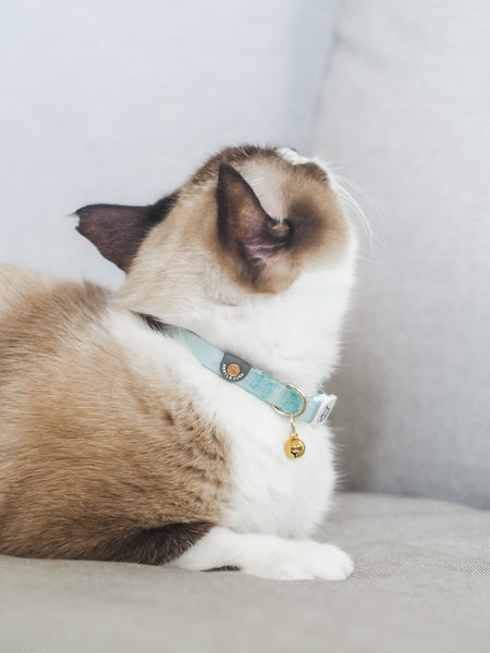 Gentle Purr Cat Collar - Pistachio