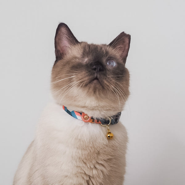 Gentle Purr Cat Collar - Razzle Dazzle