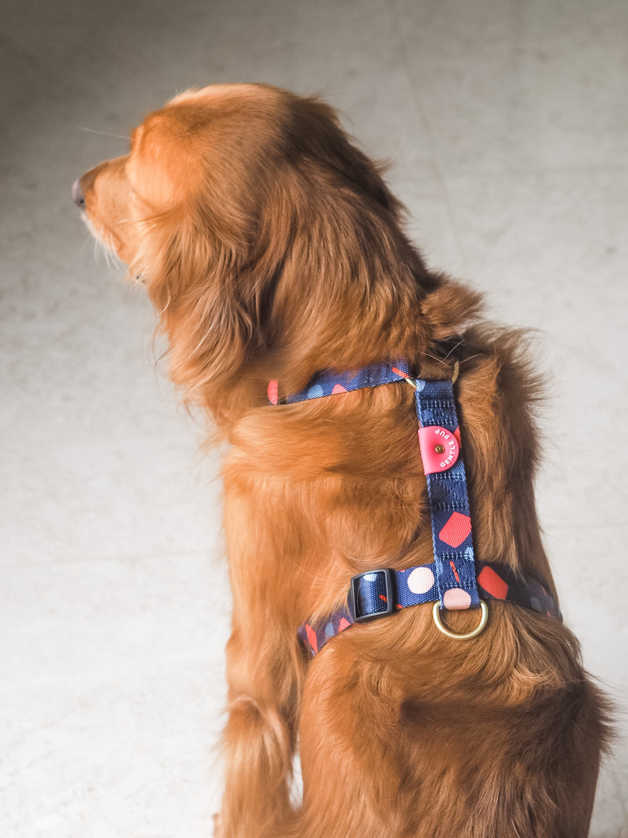 Gentle Pup Maxi Harness Playful Polly Gentle Pet Store