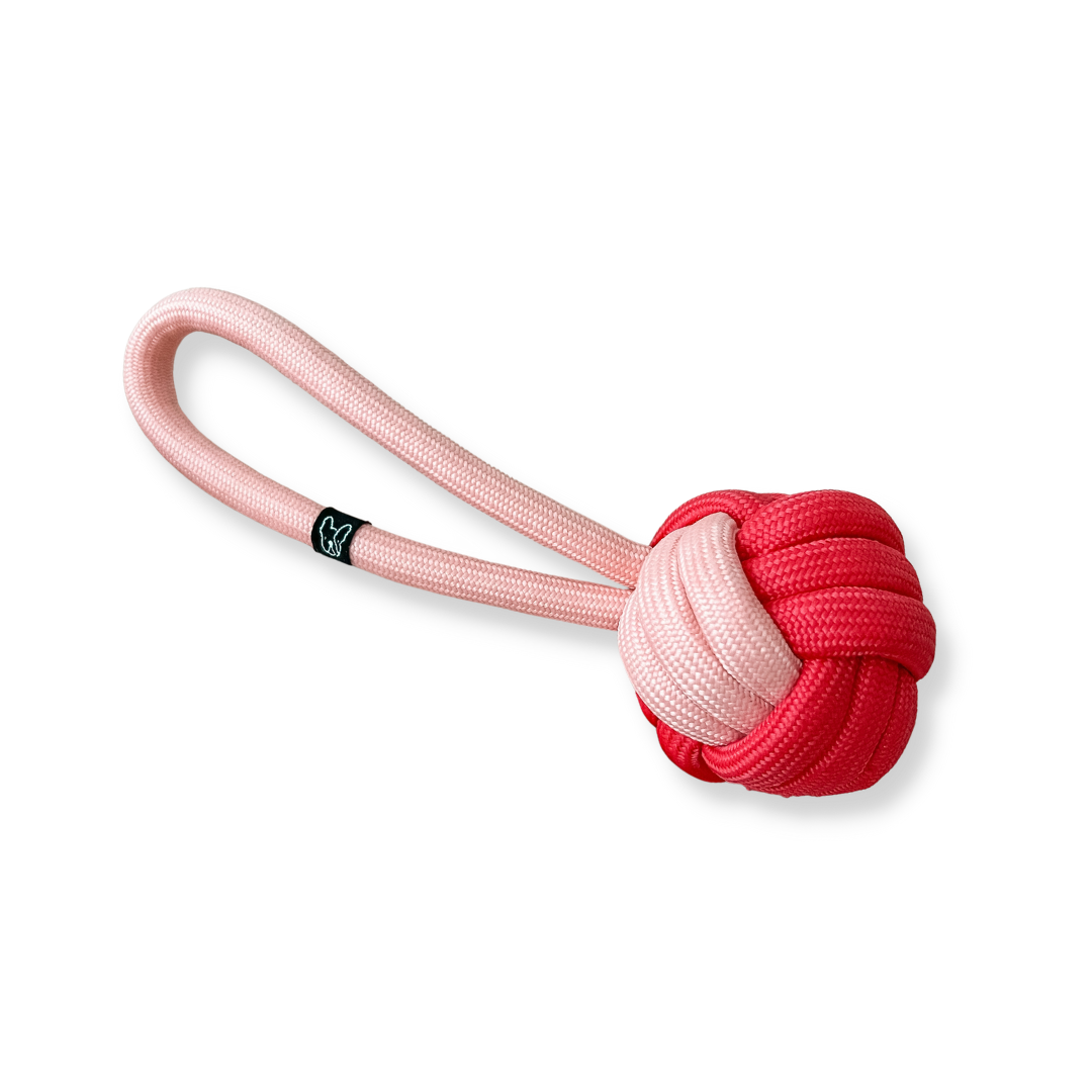 Gentle Pup Just Tug Valentine Gentle Pet Store