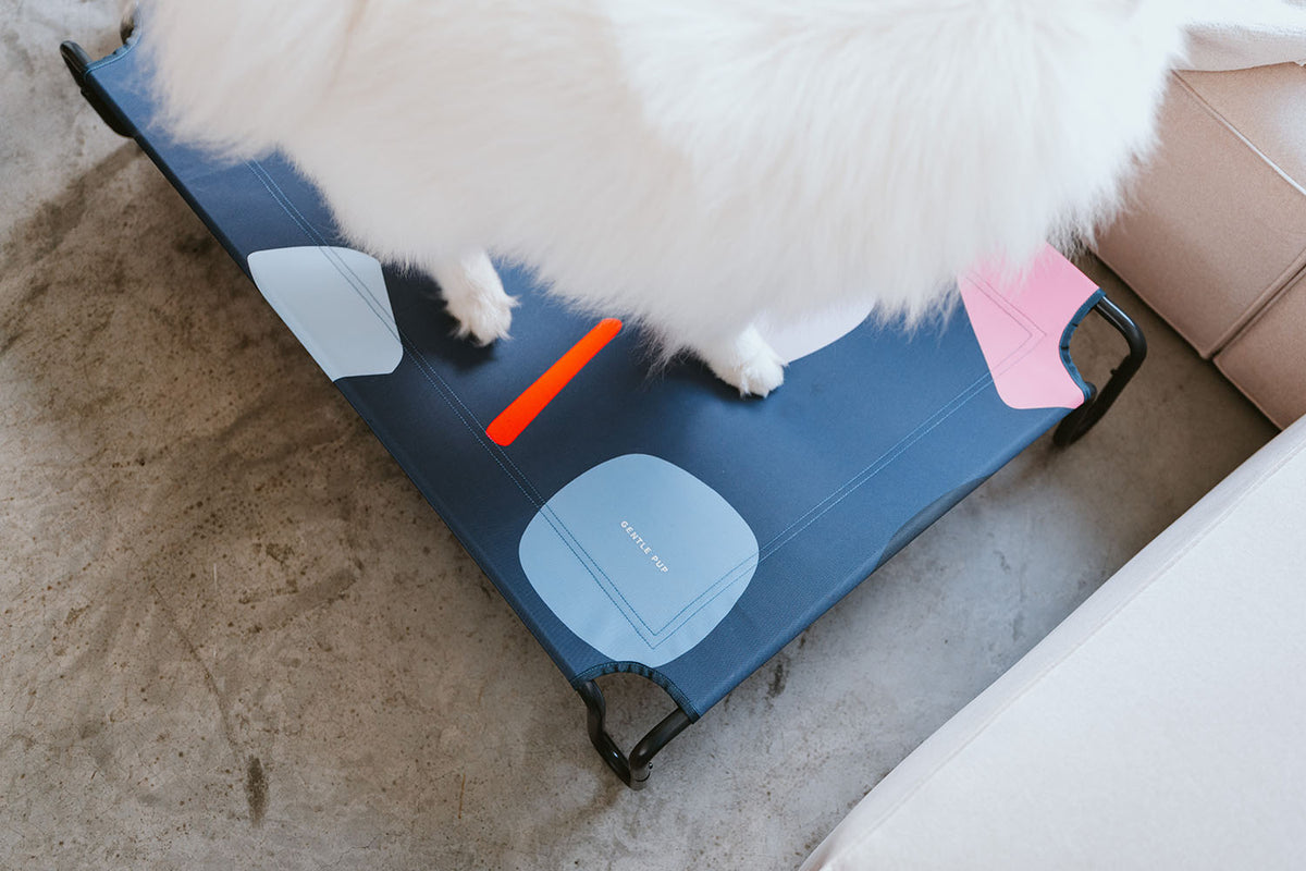 Gentle Pup Happy Camper Hammock Playful Polly Gentle Pet Store