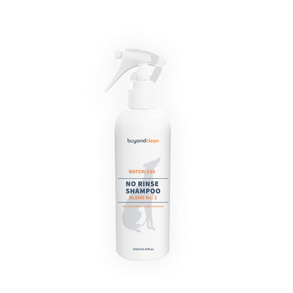 Beyond Clean No Rinse Shampoo Blend No. 2 (Spray/Foam)