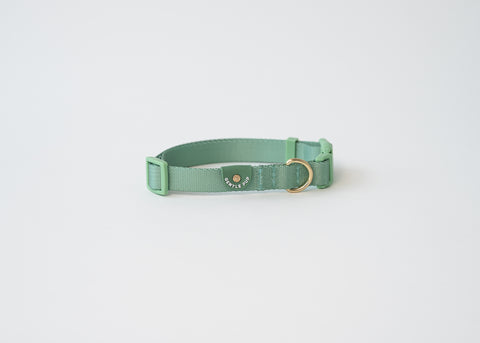 Gentle Pup Dog Collar V2 - Emerald