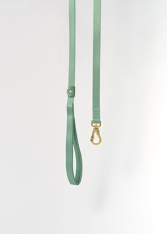 Gentle Pup Leash V2 - Emerald