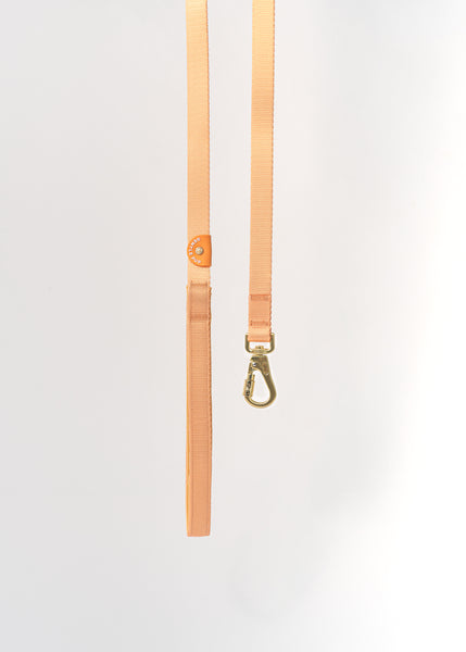 Gentle Pup Leash V2 - Tangerine