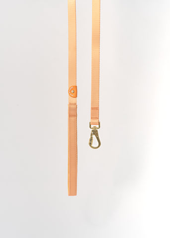Gentle Pup Leash V2 - Tangerine