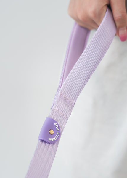 Gentle Pup Leash V2 - Periwinkle