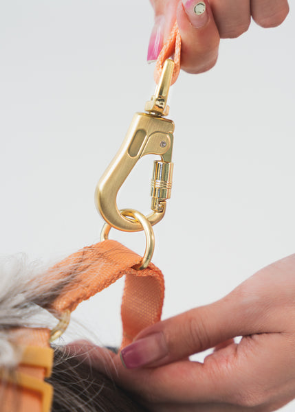 Gentle Pup Leash V2 - Tangerine