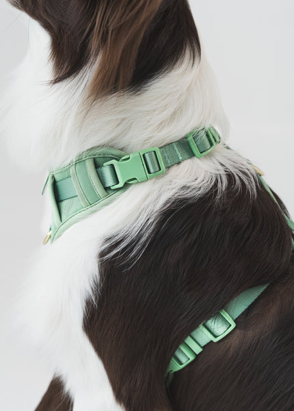 Gentle Pup Easy Harness V2 - Emerald