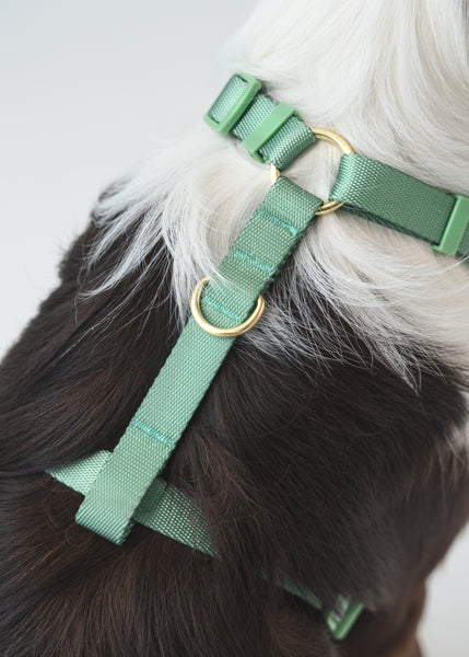 Gentle Pup Easy Harness V2 - Emerald