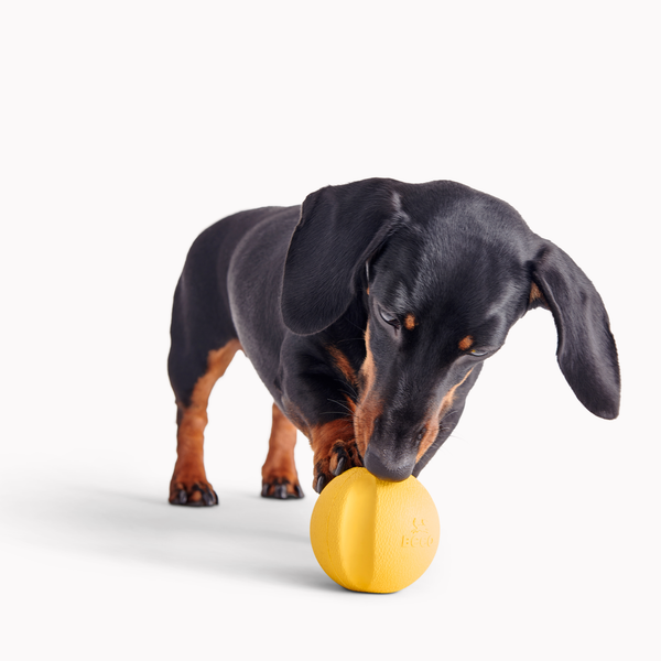 Beco Natural Rubber Fetch Ball Toy
