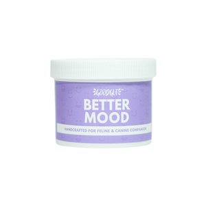 Good Gut Probiotics Supplement | Better Mood
