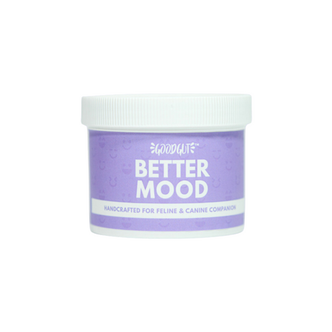 Good Gut Probiotics Supplement | Better Mood