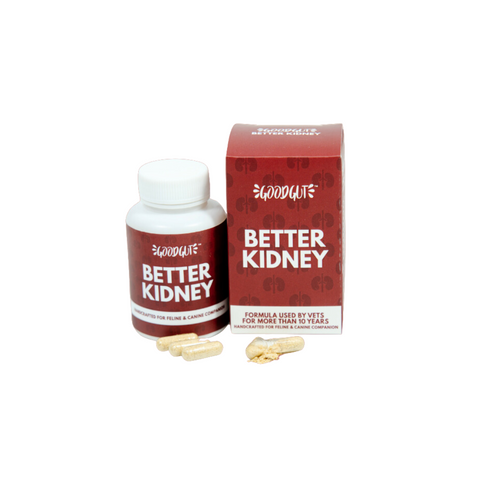 Good Gut Probiotics Supplement | Better Kidney