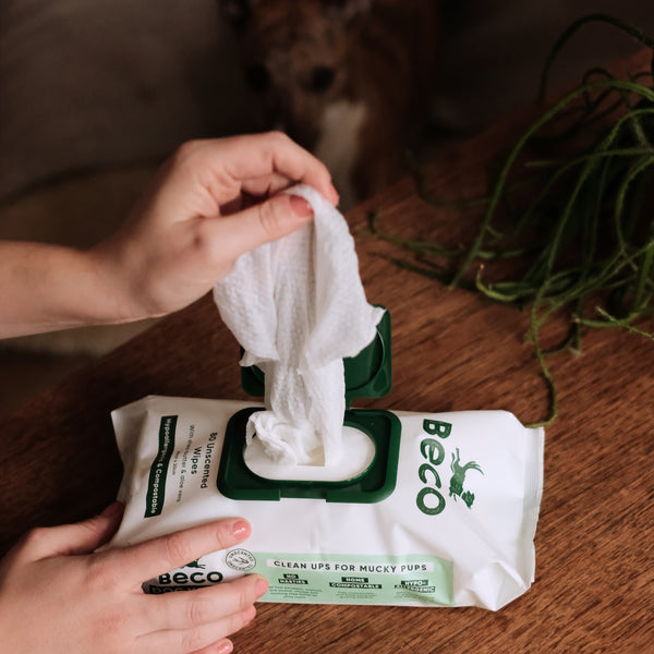 Beco Bamboo Dog Wipes | Unscented