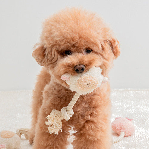 Bite Me Toy | BonBon Green Furry Friends Rope Tug Toy