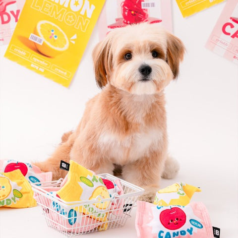 Bite Me Toy | Crunchy Candy Ball Toy