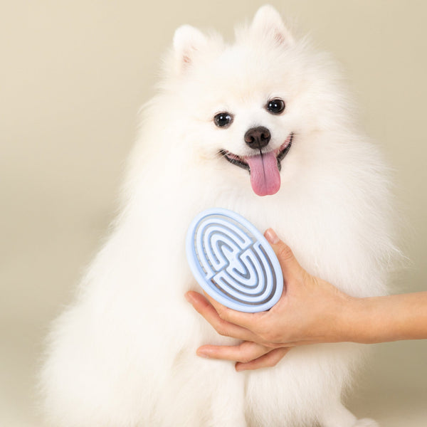 Plume Care | Everyday Pet Brush