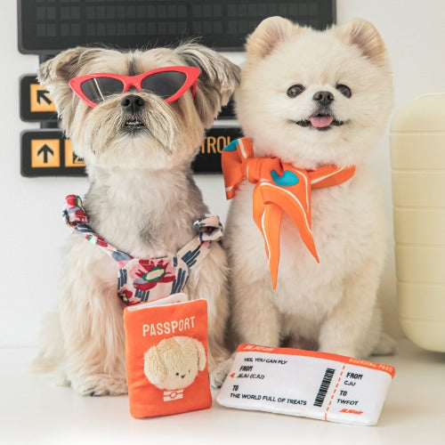 BiteMe x Jeju air Pet P assport & Ticket Nosework Toy Set