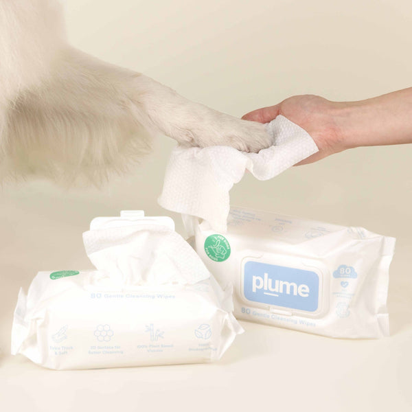 Plume Care | Gentle Cleansing Wet Wipes for Dogs & Cats