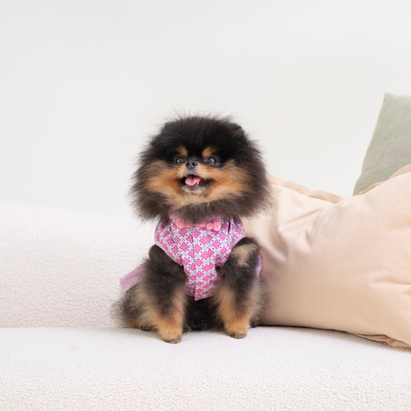 Ohpopdog Amethyst Dress