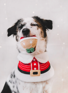 Woofy Goofy Christmas Pounce Ball Ornament Plush Toy - Gingerbread Man