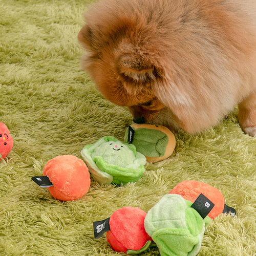 Bite Me Toy | Vegetable Ball Toy Set