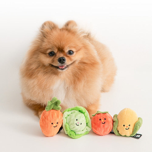 Bite Me Toy | Vegetable Ball Toy Set