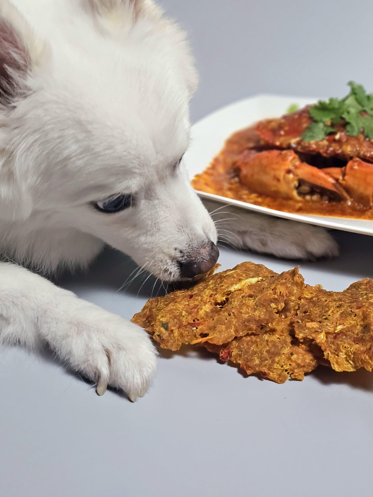 [NDP Special] PAWFF Chilli Crab (Pork/Duck)