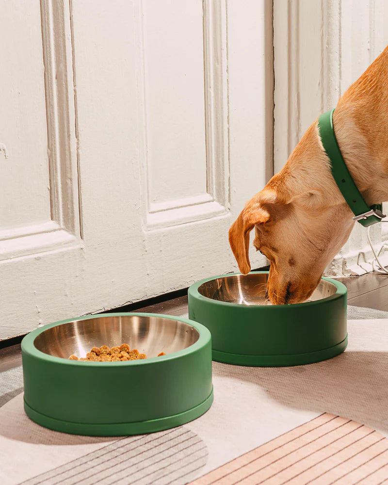 Wild One Dog Bowl Gentle Pet Store