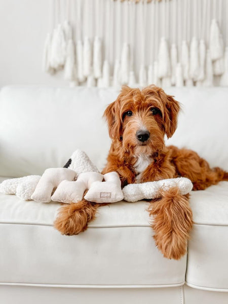 Pruff Pets | Puzzle Plush Squeaker & Crinkle Toy