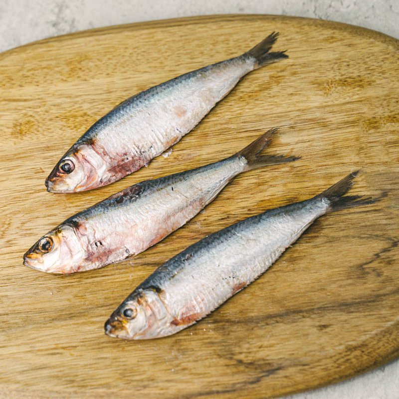 PAWFF Frozen Raw Sardines