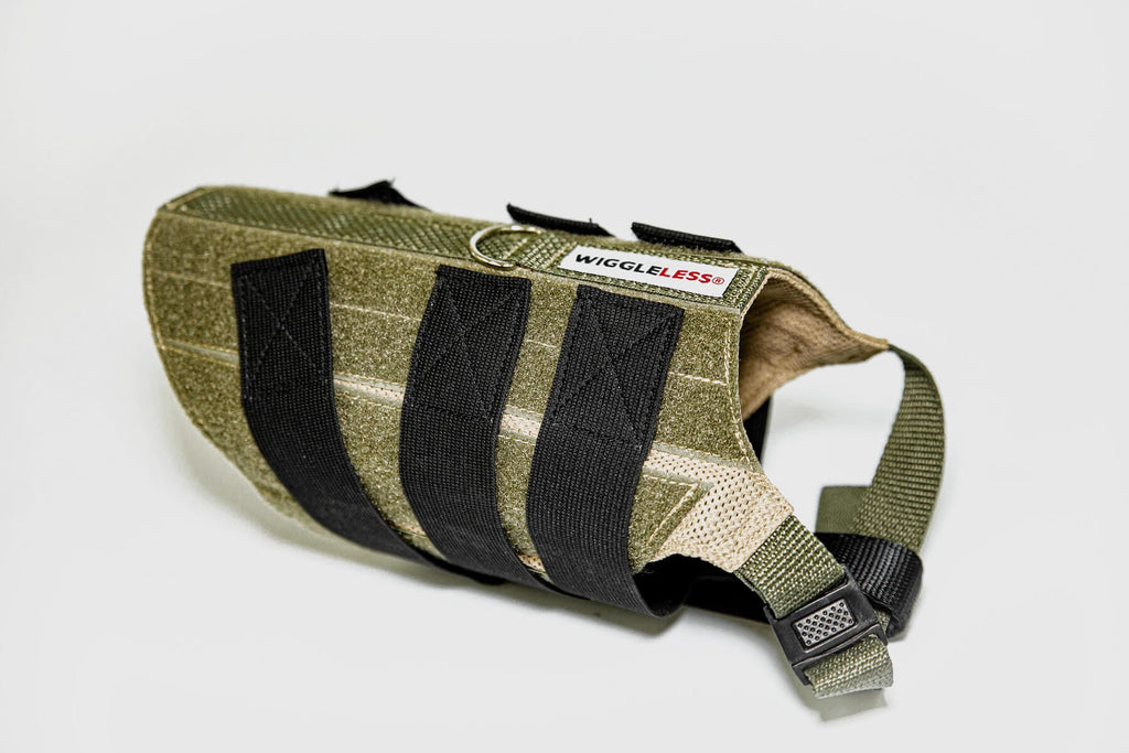 WiggleLess Back Brace Gentle Pet Store