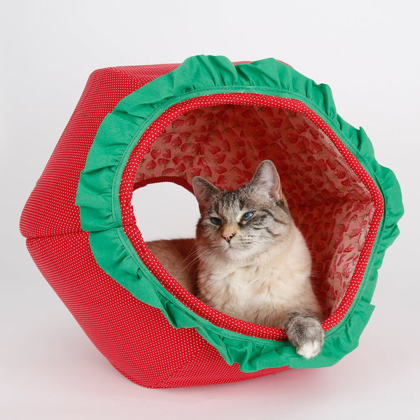 The Cat Ball - Strawberry