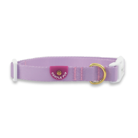 Gentle Pup Dog Collar - Taro