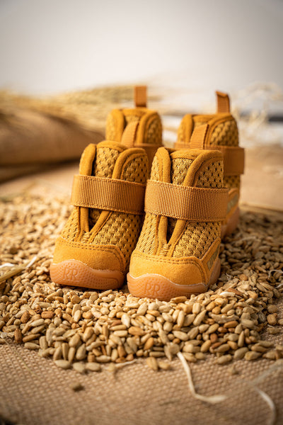 RIFRUF Dog Shoes | Caesar 1S Barley
