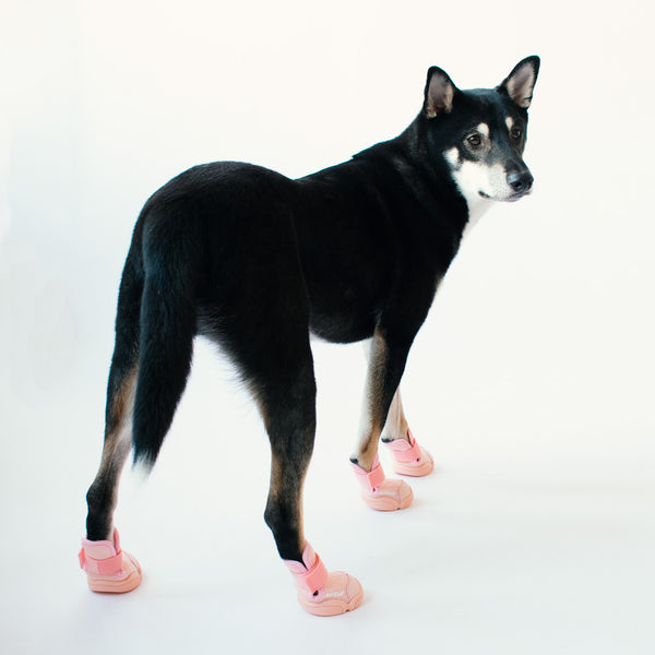 RIFRUF Dog Shoes | Caesar 1 Blush